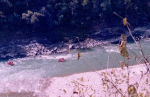 Rafting trip to Rishikesh (16)