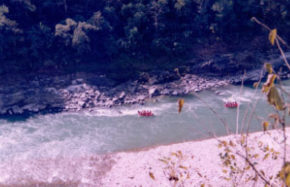 Rafting trip to Rishikesh (17)