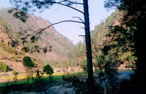 Camping in India(28)