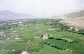 Leh Ladakh tour(14)