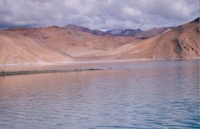 Wilderness vacations in Ladakh(25)
