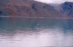 Wilderness vacations in Ladakh(5)