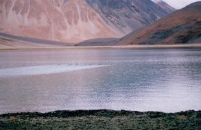 Wilderness vacations in Ladakh(6)