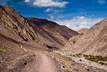 ladakh-Markha_Valley_Trek